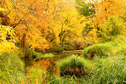 Autumn Riverscape