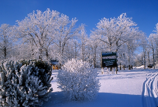 City Park Winter Frost