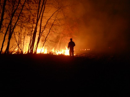 Firefighter fighting the 2012 grass fire
